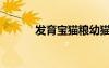 發(fā)育寶貓糧幼貓（發(fā)育寶貓糧）