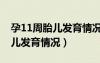 孕11周胎兒發(fā)育情況圖片會(huì)動(dòng)嗎（孕11周胎兒發(fā)育情況）