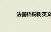 法國梧桐樹英文（法國梧桐樹）