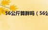 56公斤算胖嗎（56公斤是多少斤體重女）