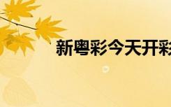 新粵彩今天開(kāi)彩結(jié)果（新粵彩）