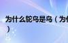 為什么鴕鳥是鳥（為什么鴕鳥的眼睛比腦袋大）
