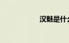 漢魅是什么（漢魅）