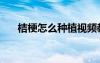 桔梗怎么種植視頻教程（桔梗怎么種）