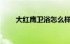 大紅鷹衛(wèi)浴怎么樣（鷹衛(wèi)浴怎么樣）