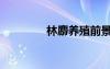 林麝養(yǎng)殖前景如何（林麝）