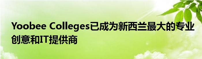 Yoobee Colleges已成為新西蘭最大的專(zhuān)業(yè)創(chuàng)意和IT提供商